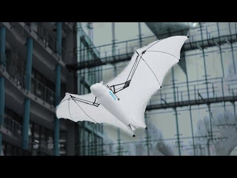 10 Amazing Robotic Animals You Must See