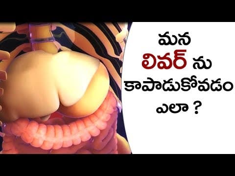 లివర్ ను ఎలా కాపాడుకోవాలి ? How to protect your liver ?
