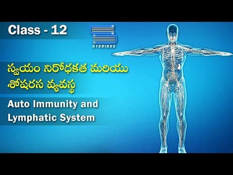 స్వయం నిరోధకత & శోషరస వ్యవస్థ – Auto Immunity and Lymphatic system | Biology Telugu