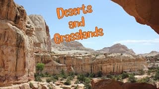 Life in the Barren Beauty Deserts and Grasslands