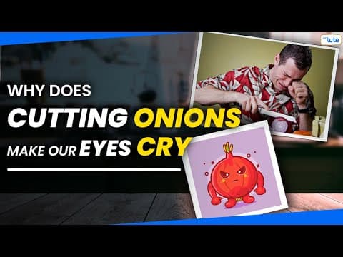 Why does cutting onions make our eyes cry