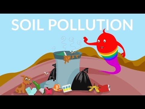 Soil Pollution || What are the causes of soil pollution|| soil pollution effects
