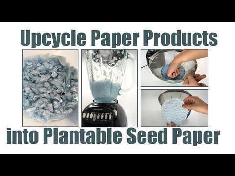 Upcycle Paper Products into Plantable Seed Paper | Science Project - YouTube