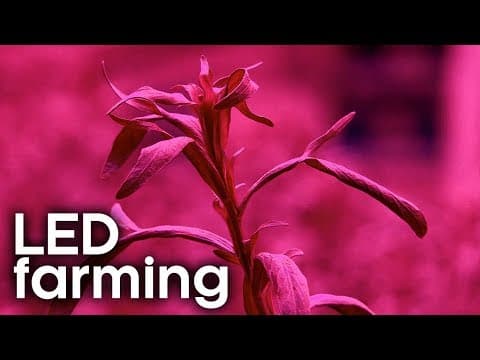 How to Farm Crops Indoors