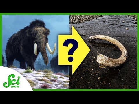 4 Mysterious Extinctions from Earth’s History