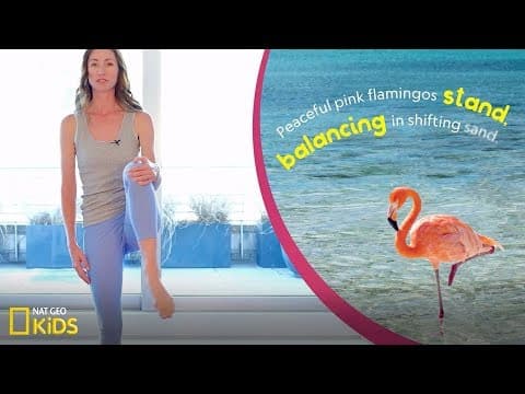Yoga animals balance like a flamingo - book club