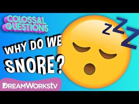 💤Why Do We Snore? | COLOSSAL QUESTIONS