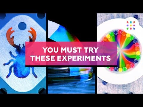 The most colorful compilation ever