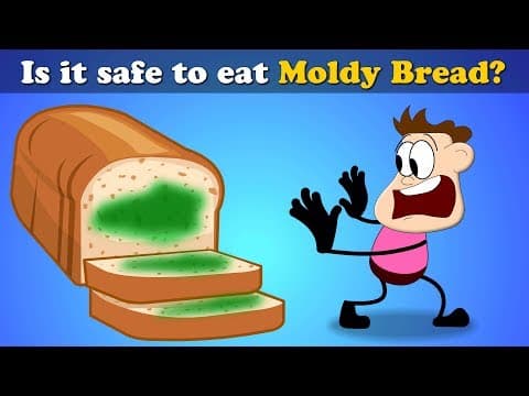 Is it Safe to eat Moldy Bread? + more videos | #aumsum #kids #science #education #children