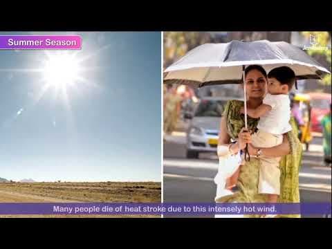 Climate in India | New Sparkle Semester Series Social Studies Grade 4 | Jeevandeep