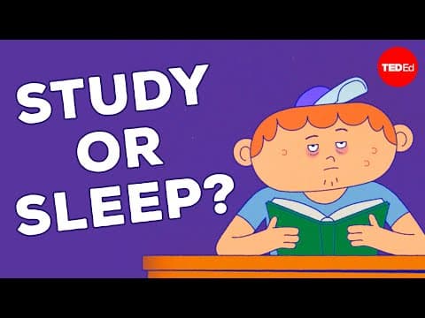 What staying up all night does to your brain - Anna Rothschild - YouTube