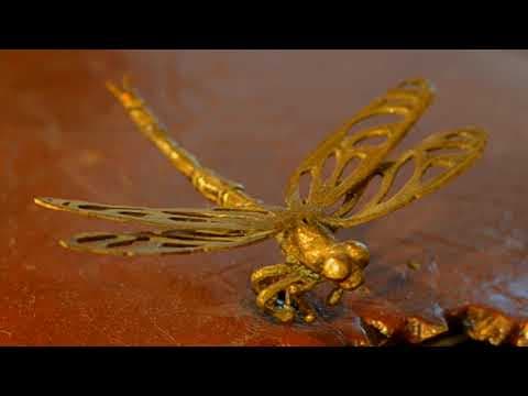 Up close with Gem the common wombat