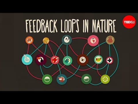Feedback loops: How nature gets its rhythms - Anje-Margriet Neutel - YouTube
