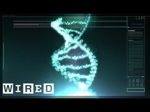 DNA Editing: Doping of the Future?