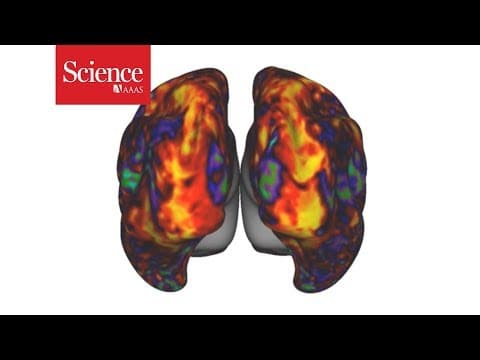 Researchers demonstrate ‘mind-reading’ brain-decoding tech