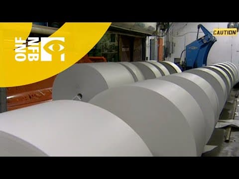 How Do They Recycle Paper?