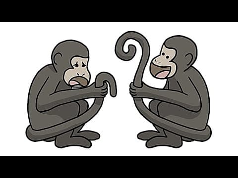 Why Only Some Monkeys Have Awesome Tails - YouTube