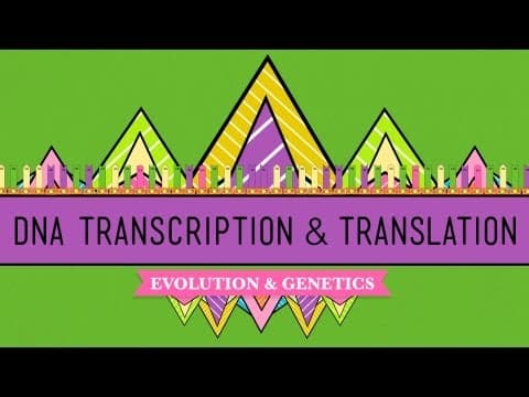 DNA, Hot Pockets, & The Longest Word Ever: Crash Course Biology #11 - YouTube