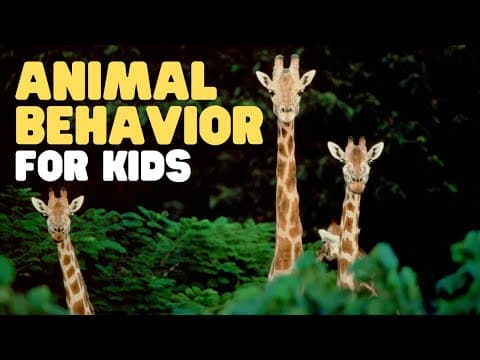 Animal behavior for kids - learn about innate behavior learned behavior and more!
