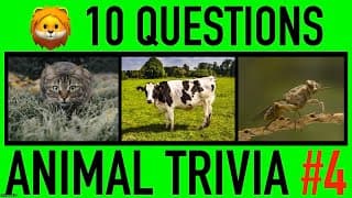 Challenging Animals General Knowledge Trivia Quiz