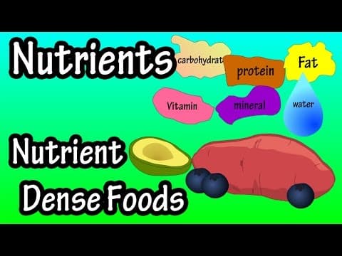 What Are Nutrients - What Is Nutrient Density - What Are Nutrient Dense Foods