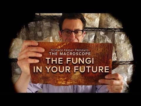 The Fungi in Your Future - YouTube