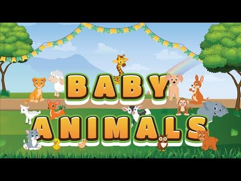 Baby Animals | Animals and Their Young | Baby Animal Names for Kids