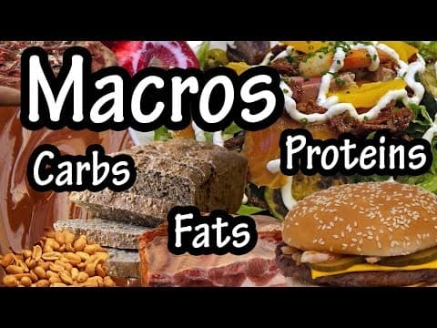 What Are Macronutrients - How To Calculate Calories - How To Count Calories