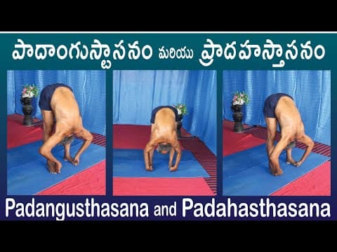 Padangusthasana and Padahasthasana by Kuppi Reddy