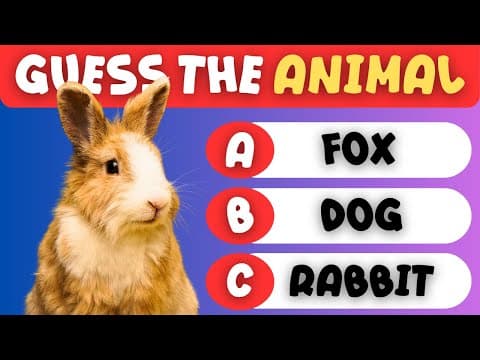 Guess the Animal Name! 🐰 Fun Vocabulary Quiz for Kids (ESL)