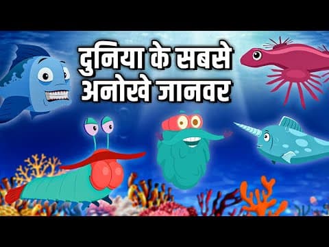 दुनिया के सबसे अनोखे जानवर - Weird Animals In The World
