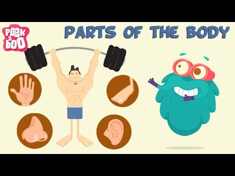 Parts Of The Body | The Dr. Binocs Show | Learn Videos For Kids - YouTube