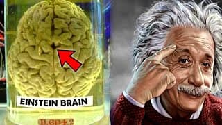 The Stolen Brain Of Einstein Genius Secrets Revealed|Albert Einstein|Deep Side