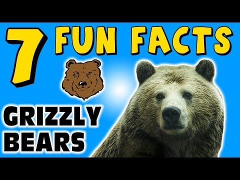 7 FUN FACTS ABOUT GRIZZLY BEARS! BEAR FACTS FOR KIDS! Claws! Fur! Learning Colors!