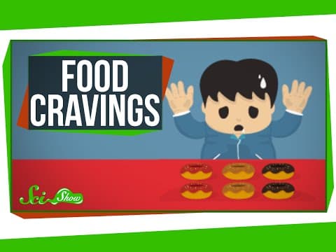 What Causes Food Cravings? - YouTube