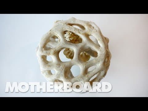 Fungus: The Plastic of the Future - YouTube