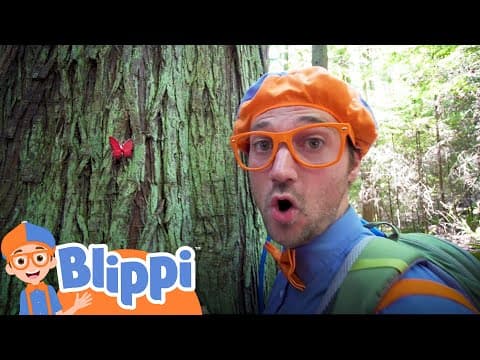 Learning about nature on a hike