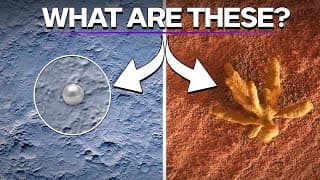 Discovered What Are The Strange Objects Found On Mars And Moon
