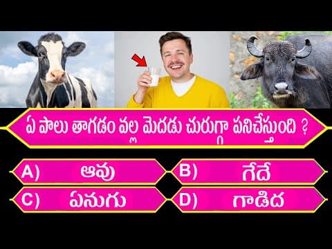 Gk Quiz in Telugu | Unknown Facts | Episode 1 - 5 | Telugu GK | Gk Questions in Telugu