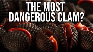 Would You Eat the Most Dangerous Clam