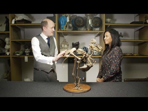 Giant elephant sculptures made by upcycling invasive plants