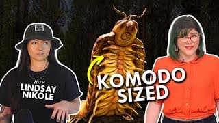 Millipedes Used To Be Over 6 Feet Long - Ft. Lindsay Nikole