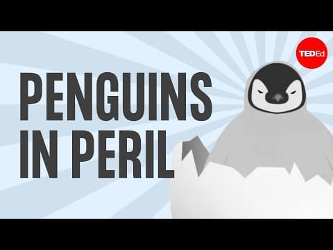 The popularity, plight, and poop of penguins -