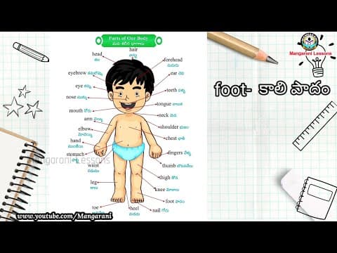 Learn a word a day, Word - foot