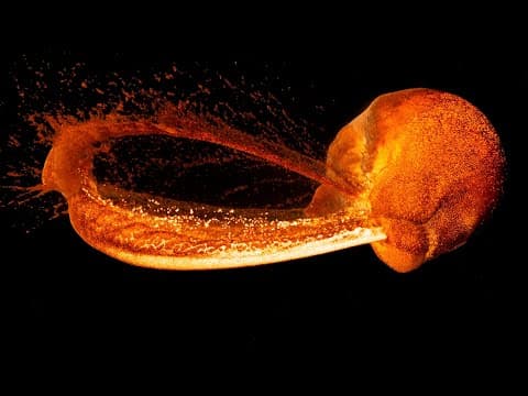 Did the moon form in just a few hours? NASA Ames investigates.