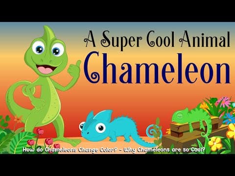 How do Chameleons Change Color? - Why Chameleons are so Cool? - The Amazing Science of Chameleons