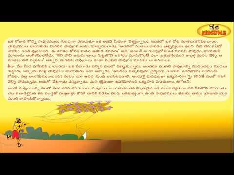 Pavuralu vetagadu - పావురాలు వేటగాడు - audio stories