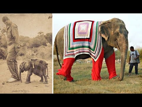 These are 10 longest living animals on this planet