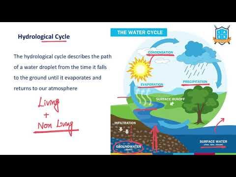 What is Hydrological Cycle ? || Hydrological Cycle అంటే ఏమిటి?
