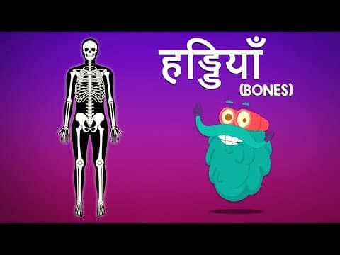 बोन्स | हड्डियाँ | Bones In Hindi | Dr.Binocs Show | Educational Video For Kids | Binocs Ki Duniya